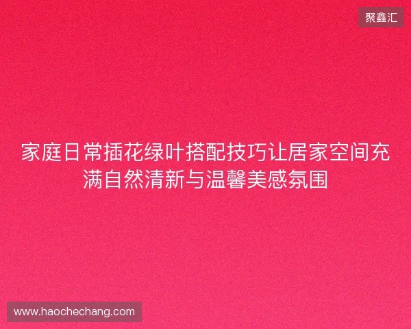 家庭日常插花绿叶搭配技巧让居家空间充满自然清新与温馨美感氛围